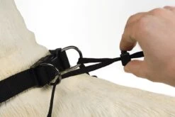 Beeztees Gentle Walker - Hondentuig - Zwart - L -Hondenbenodigdheden Korting 1200x800 254