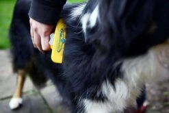 Furminator® Hond Langhaar - Vermindert Haaruitval Tot 90% - Hondenborstel - L -Hondenbenodigdheden Korting 1200x800 26