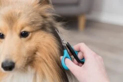 Trixie Gezicht- En Potenschaar Kunststof / Rvs 8 Cm -Hondenbenodigdheden Korting 1200x800 31