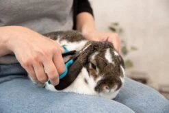 Trixie Gezicht- En Potenschaar Kunststof / Rvs 8 Cm -Hondenbenodigdheden Korting 1200x800 33