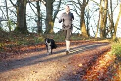 Trixie Heupriem Met Jogginglijn Zwart - RIEM 60-120 CM LIJN 100-135 CM 14 Trixie Heupriem Met Jogginglijn Zwart - RIEM 60-120 CM LIJN 100-135 CM -Hondenbenodigdheden Korting 1200x800 55