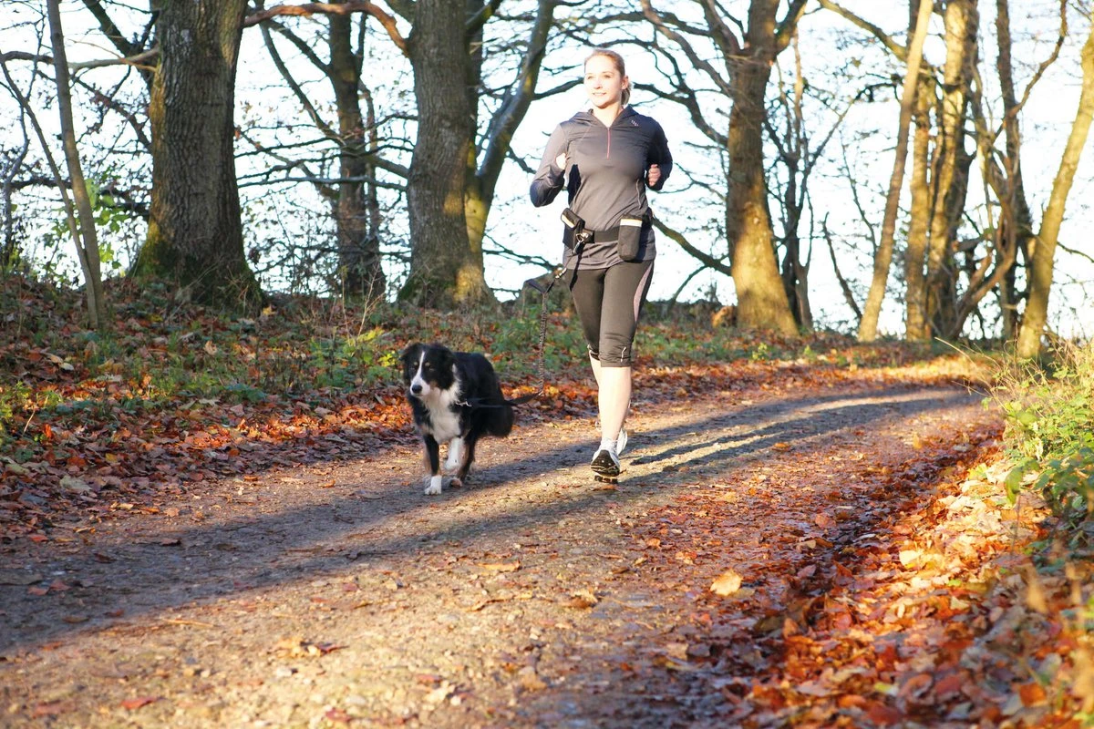 Trixie Heupriem Met Jogginglijn Zwart - RIEM 60-120 CM LIJN 100-135 CM 6 Trixie Heupriem Met Jogginglijn Zwart - RIEM 60-120 CM LIJN 100-135 CM - Afbeelding 6