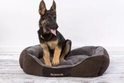 Hondenmand Zacht En Stevig, Anti-Slip En Wasbaar - Scruffs Chester Box Bed - In Grijs En Bruin In Maat S Tot XL - Kleur: Grijs, Maat: Large 37 Hondenmand Zacht En Stevig, Anti-Slip En Wasbaar - Scruffs Chester Box Bed - In Grijs En Bruin In Maat S Tot XL - Kleur: Grijs, Maat: Large -Hondenbenodigdheden Korting 1200x800 67