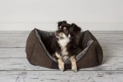 Hondenmand Zacht En Stevig, Anti-Slip En Wasbaar - Scruffs Chester Box Bed - In Grijs En Bruin In Maat S Tot XL - Kleur: Grijs, Maat: Large 39 Hondenmand Zacht En Stevig, Anti-Slip En Wasbaar - Scruffs Chester Box Bed - In Grijs En Bruin In Maat S Tot XL - Kleur: Grijs, Maat: Large -Hondenbenodigdheden Korting 1200x800 68