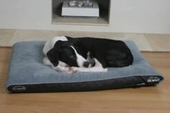 Scruffs Chateau - Hondenbed Orthopedisch Met Memory Foam Voor Extra Steun Voor Rug En Gewrichten - Grijs & Bruin Maat M/L - Kleur: Grijs, Maat: Medium 29 Scruffs Chateau - Hondenbed Orthopedisch Met Memory Foam Voor Extra Steun Voor Rug En Gewrichten - Grijs & Bruin Maat M/L - Kleur: Grijs, Maat: Medium -Hondenbenodigdheden Korting 1200x800 80