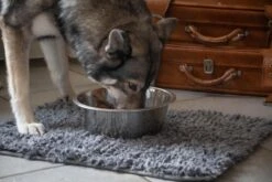 Royal Dry Absorberende Anti-knoeimat Voor Honden – Trekt Vuil Als Een Spons – Laat Geen Vocht Door – 61x45 Cm – Microfiber Chenille – Geschikt Voor Honden En Overige Huisdieren 10 Royal Dry Absorberende Anti-knoeimat Voor Honden – Trekt Vuil Als Een Spons – Laat Geen Vocht Door – 61x45 Cm – Microfiber Chenille – Geschikt Voor Honden En Overige Huisdieren -Hondenbenodigdheden Korting 1200x800 83