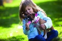 Kong Puppy - Hondenspeelgoed - Assorti - L -Hondenbenodigdheden Korting 1200x801 6