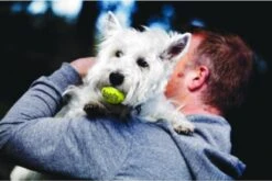 Kong Squeakair Ball - Hondenspeelgoed - 6 St -Hondenbenodigdheden Korting 1200x802 7