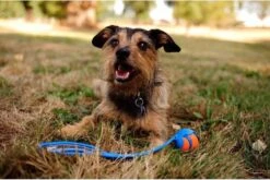 Chuckit! Chuckit Pro Ball - Werpstok - Apporteren- 25m Ver - 63 Cm -Hondenbenodigdheden Korting 1200x804 10