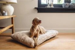 Designed By Lotte Hondenkussen Pluche Xanti Beige 100 X 68 X 5 Cm -Hondenbenodigdheden Korting 1200x804 3