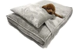 Orthopedisch Hondenkussen Grijs - Hondenmand Ribstof Premium L - Luxe Hondenbed 100x70cm - Grijs Tot 40 KG 15 Orthopedisch Hondenkussen Grijs - Hondenmand Ribstof Premium L - Luxe Hondenbed 100x70cm - Grijs Tot 40 KG -Hondenbenodigdheden Korting 1200x806 5