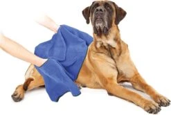 Duvo+ Hondenhanddoek 70 X 100 Cm -Hondenbenodigdheden Korting 1200x808