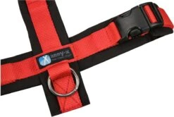 Annyx Hondentuig Harnas Zwart Rood - Y Model - Maat S Is Geschikt Voor Borstomvang 52-64cm. -Hondenbenodigdheden Korting 1200x808 7