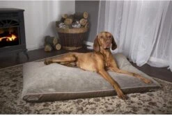 Scruffs Chateau - Hondenbed Orthopedisch Met Memory Foam Voor Extra Steun Voor Rug En Gewrichten - Grijs & Bruin Maat M/L - Kleur: Grijs, Maat: Medium 25 Scruffs Chateau - Hondenbed Orthopedisch Met Memory Foam Voor Extra Steun Voor Rug En Gewrichten - Grijs & Bruin Maat M/L - Kleur: Grijs, Maat: Medium -Hondenbenodigdheden Korting 1200x811 5