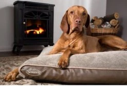 Scruffs Chateau - Hondenbed Orthopedisch Met Memory Foam Voor Extra Steun Voor Rug En Gewrichten - Grijs & Bruin Maat M/L - Kleur: Grijs, Maat: Medium 23 Scruffs Chateau - Hondenbed Orthopedisch Met Memory Foam Voor Extra Steun Voor Rug En Gewrichten - Grijs & Bruin Maat M/L - Kleur: Grijs, Maat: Medium -Hondenbenodigdheden Korting 1200x820