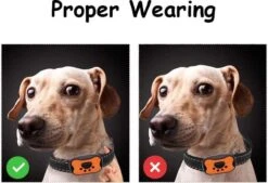 Merkloos Anti Blafband Voor Honden Blafband Anti Blaf Apparaat Blafband Zonder Schok - Diervriendelijk -Hondenbenodigdheden Korting 1200x822 1