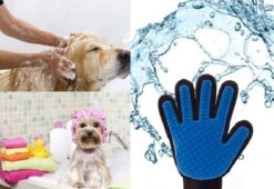 Vacht Verzorgingsborstel Voor Huisdieren - Blauw - LimitedDeals - Voor Honden Katten Konijnen Paarden - Tevens Massage Handschoen Voor Dieren! - Goed Voor De Verzorging Van De Vacht -Hondenbenodigdheden Korting 1200x825