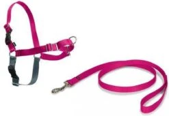 PetSafe Easy Walk® - Hondentuigje - Zwart - L - 66-91 Cm 33 PetSafe Easy Walk® - Hondentuigje - Zwart - L - 66-91 Cm -Hondenbenodigdheden Korting 1200x825 4