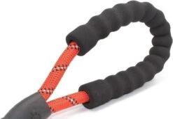 Comfortabele Hondenriem Met Gevoerd Handvat – Stevige Nylon Hondenlijn – Riem Voor Honden -Hondenbenodigdheden Korting 1200x832 1