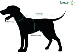 Julius K9 Julius-K9 IDC®Powertuig, XS - Mini-Mini, Camouflage -Hondenbenodigdheden Korting 1200x842 4