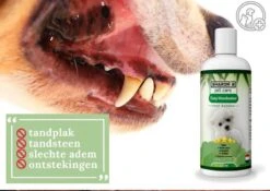 Easy Mondwater Voor Honden - 237 Ml - Tegen Stinkende Adem - Tandplak - Tandsteen - Tandvleesproblemen -Hondenbenodigdheden Korting 1200x852 6