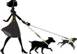 WAW Easy Dog Walk 'schokdemper' Zwart - XL - 25-40 Kg -Hondenbenodigdheden Korting 1200x852 8