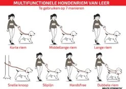 Multifunctionele Hondenriem - 220cm - Bruin - Leren Hondenriem - 100% Volnerfleer - Hondenriem Leer - Leiband Hond 13 Multifunctionele Hondenriem - 220cm - Bruin - Leren Hondenriem - 100% Volnerfleer - Hondenriem Leer - Leiband Hond -Hondenbenodigdheden Korting 1200x853 2