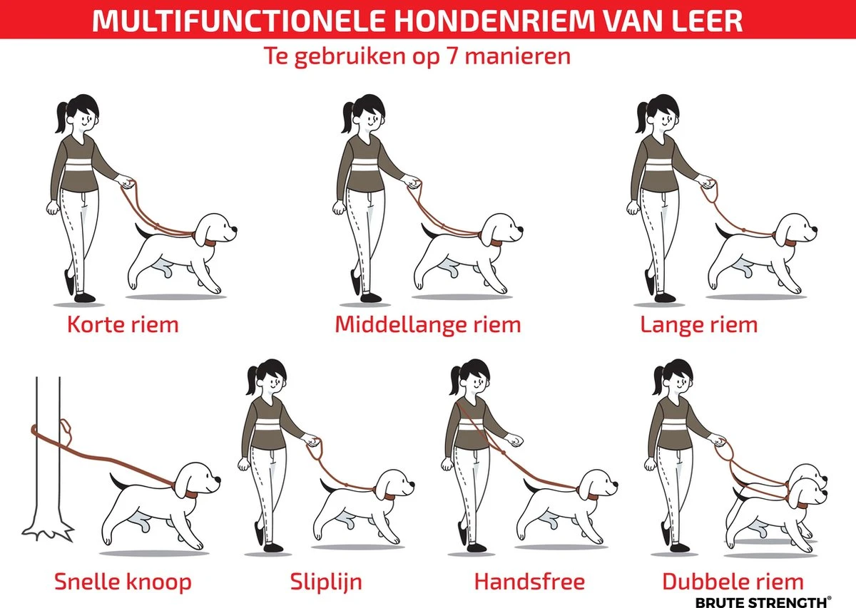 Multifunctionele Hondenriem - 220cm - Bruin - Leren Hondenriem - 100% Volnerfleer - Hondenriem Leer - Leiband Hond 4 Multifunctionele Hondenriem - 220cm - Bruin - Leren Hondenriem - 100% Volnerfleer - Hondenriem Leer - Leiband Hond - Afbeelding 4