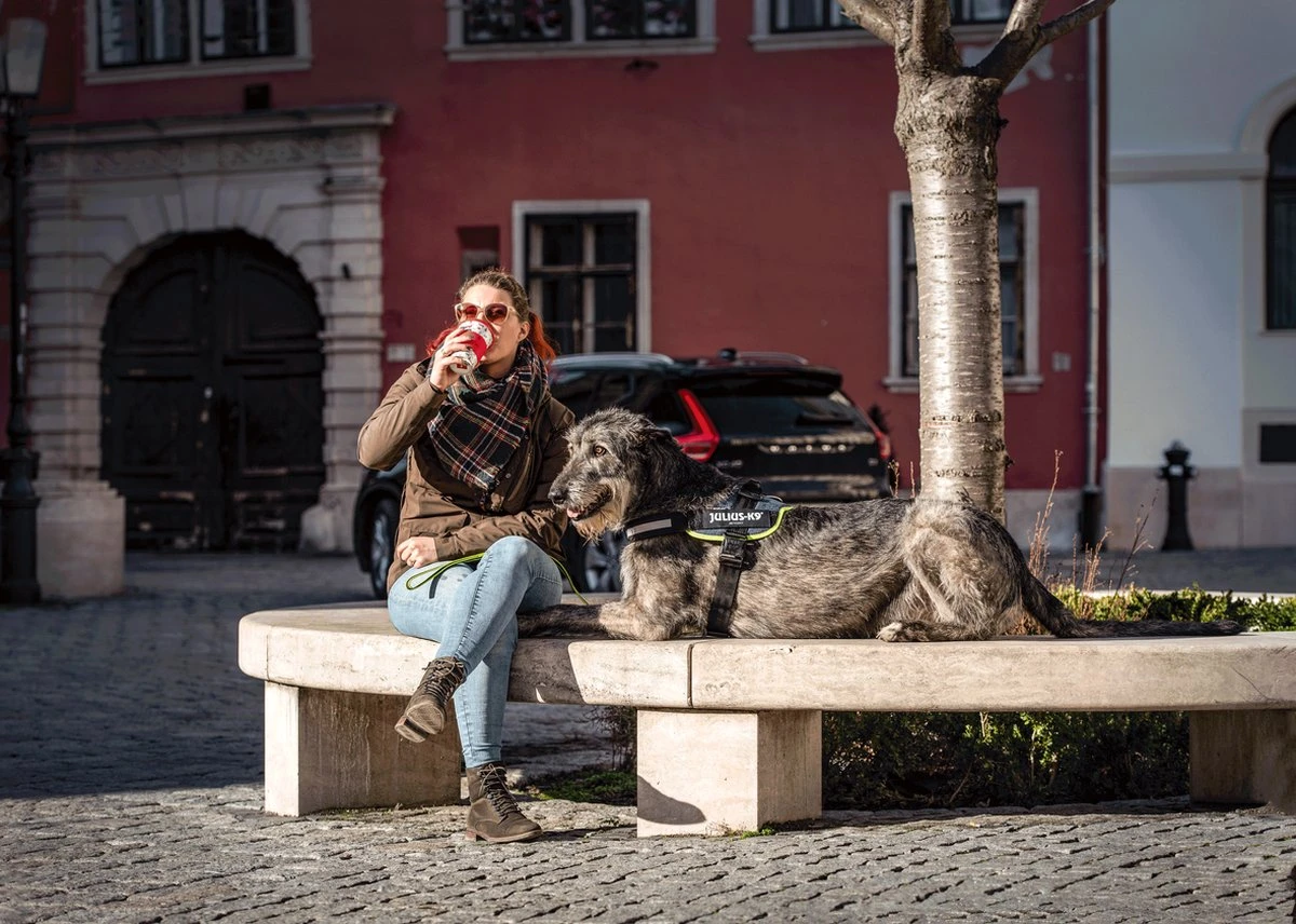 Julius K9 Julius-K9 IDC®Powertuig, 2XL - Maat 3, Zwart 5 Julius K9 Julius-K9 IDC®Powertuig, 2XL - Maat 3, Zwart - Afbeelding 5