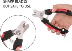 Nagelschaar Voor Dieren- Nagelknipper- Kat- Hond- Vogel Nagelschaartje - Huisdieren - Nail Clipper- Nail Cutter -Hondenbenodigdheden Korting 1200x857 1