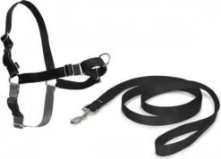 Petsafe Easy Walk® Deluxe Harness - Hondentuigje - Blauw - M - 1,8 M -Hondenbenodigdheden Korting 1200x863 7