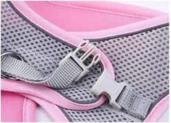 Hondentuigje Voor Kleine Puppy's & Kleine Honden - Blauw - Maat M 15 Hondentuigje Voor Kleine Puppy's & Kleine Honden - Blauw - Maat M -Hondenbenodigdheden Korting 1200x864 11