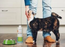 OxyFresh Pet Mondwater Hond En Kat. Helpt Tegen Tandsteen, Plak En Vieze Ademgeurtjes -Hondenbenodigdheden Korting 1200x864 6