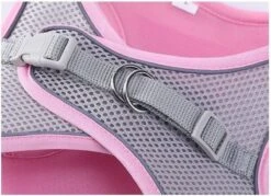 Hondentuigje Voor Kleine Puppy's & Kleine Honden - Blauw - Maat M 13 Hondentuigje Voor Kleine Puppy's & Kleine Honden - Blauw - Maat M -Hondenbenodigdheden Korting 1200x869 5