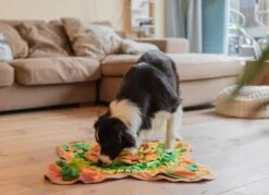 SNUFFIES® Snuffelmat Belle 60x50cm – Snuffelmat – Snuffelmatten - Honden Speelgoed - Honden Speelgoed Intelligentie - Snuffelmat Hond - Snuffelmatten – Hersenwerk – Honden Speeltjes – Puppy - Puppy Speelgoed - Honden Denkspelletjes -Hondenbenodigdheden Korting 1200x872 4