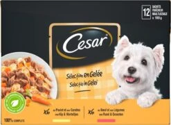 Cesar Selectie In Gelei Maaltijdzakjes Honden Natvoer - Vlees En Groenten In Gelei - 48 X 100g -Hondenbenodigdheden Korting 1200x874