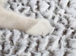 Merkloos Zelfverwarmende Dierendeken Zonder Stroom Thermo Deken Hond Kat Inclusief Adreslabel 70 X 47 Cm -Hondenbenodigdheden Korting 1200x878 1