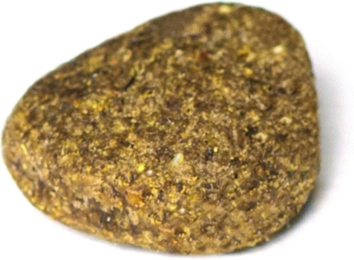 Prins ProCare Croque Lam & Rijst Senior 10 Kg - Hond 10 Prins ProCare Croque Lam & Rijst Senior 10 Kg - Hond - Afbeelding 10