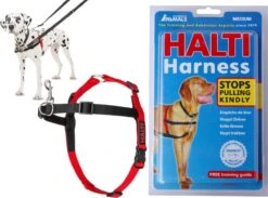 Company Of Animals Halti Harnass Hondentuigje - Anti Trektuigje - M - 60 Tot 80 Cm – Zwart 18 Company Of Animals Halti Harnass Hondentuigje - Anti Trektuigje - M - 60 Tot 80 Cm – Zwart -Hondenbenodigdheden Korting 1200x889 3