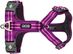 Dog Copenhagen - Comfort Walk Air Met Urban Rope Leash Riem 160 Cm - Paars - XL - 82-106 Cm 8 Dog Copenhagen - Comfort Walk Air Met Urban Rope Leash Riem 160 Cm - Paars - XL - 82-106 Cm -Hondenbenodigdheden Korting 1200x891 1