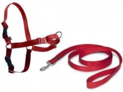 PetSafe Easy Walk® - Hondentuigje - Zwart - M - 51-71 Cm 21 PetSafe Easy Walk® - Hondentuigje - Zwart - M - 51-71 Cm -Hondenbenodigdheden Korting 1200x896 10