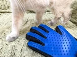 Vacht Verzorgingsborstel Voor Huisdieren - Blauw - LimitedDeals - Voor Honden Katten Konijnen Paarden - Tevens Massage Handschoen Voor Dieren! - Goed Voor De Verzorging Van De Vacht -Hondenbenodigdheden Korting 1200x897 1