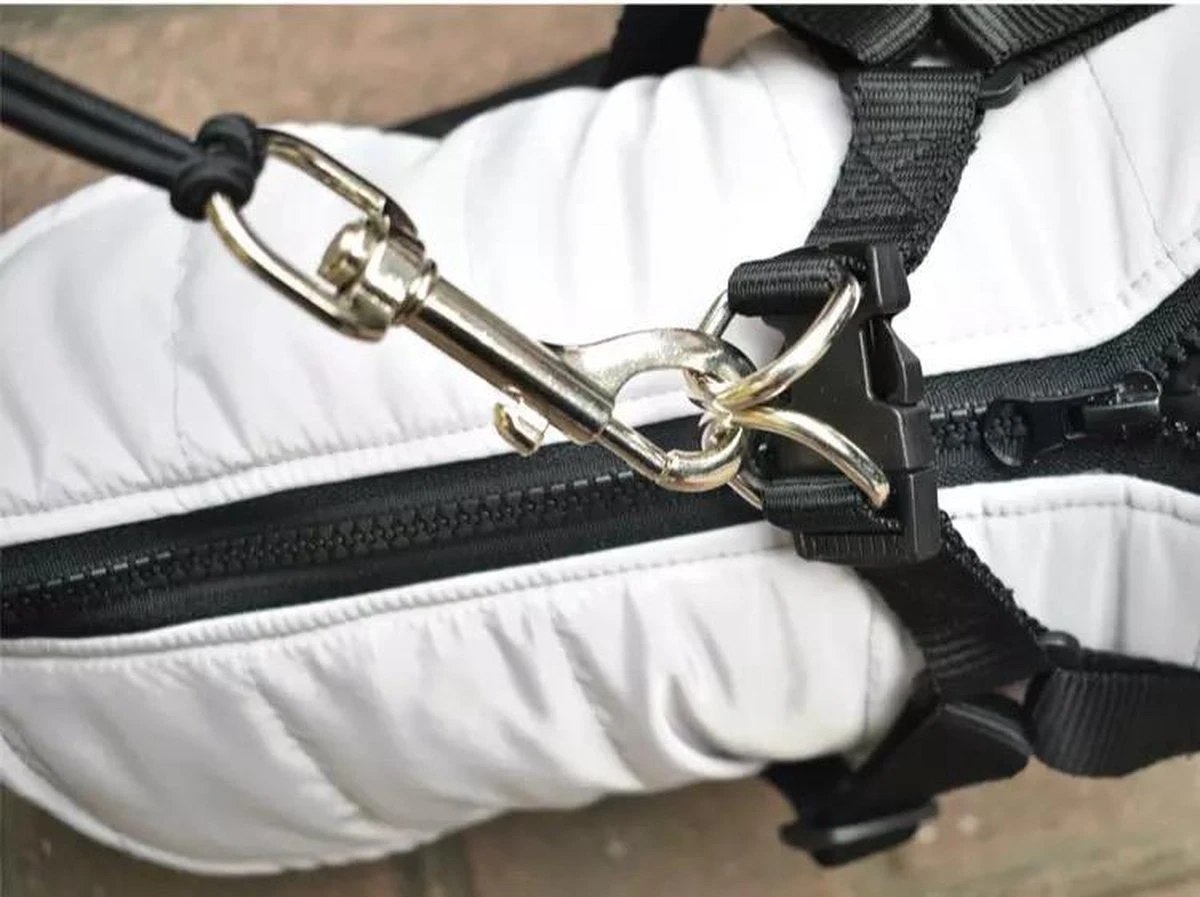 Fiets Hondenriem - Fietsbeugel Voor De Hond -Honden Fietsbeugel - Hondenlijn-Lijn Dog- Afstandshouder Hond 10 Fiets Hondenriem - Fietsbeugel Voor De Hond -Honden Fietsbeugel - Hondenlijn-Lijn Dog- Afstandshouder Hond - Afbeelding 10