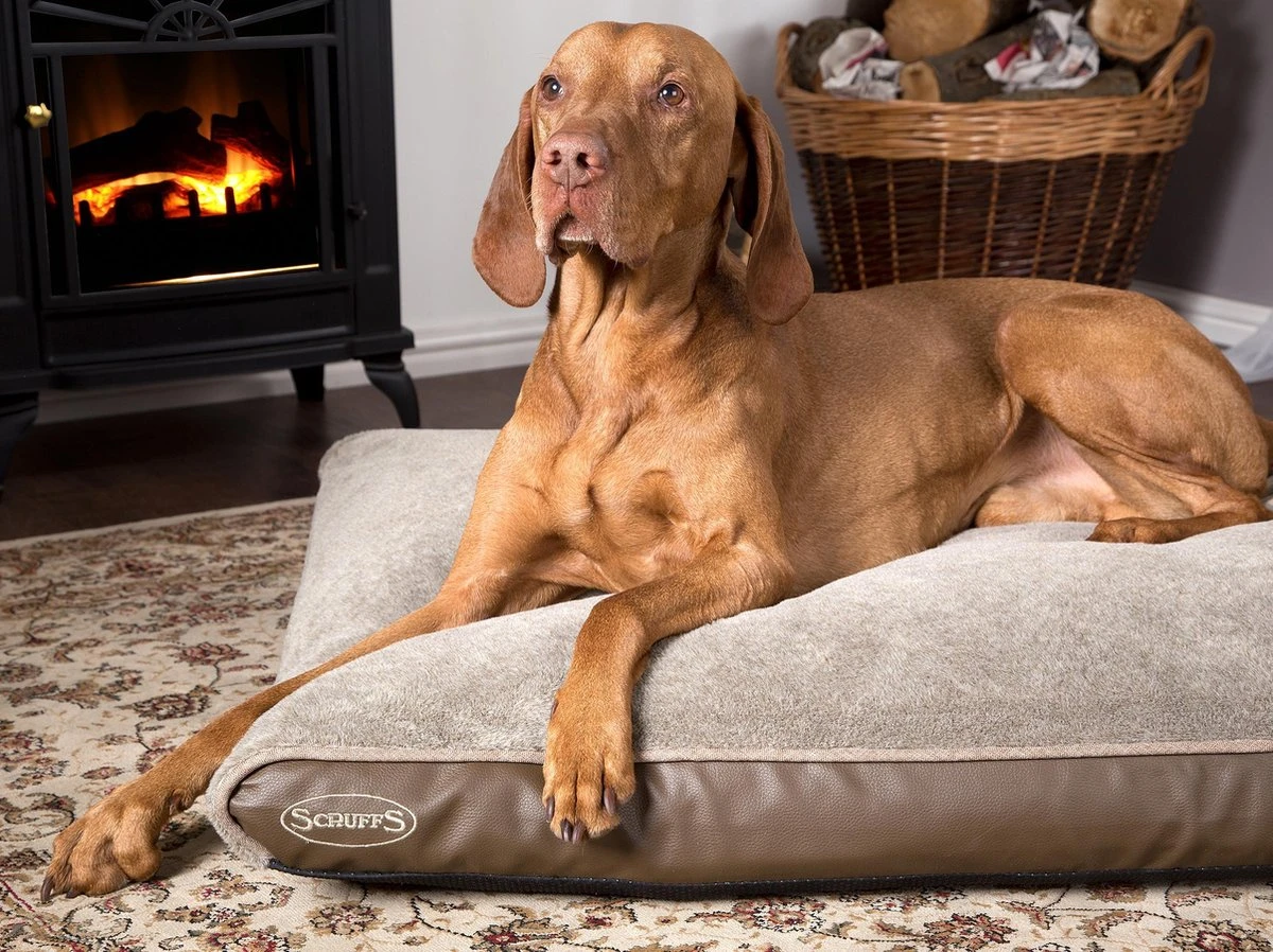 Scruffs Chateau - Hondenbed Orthopedisch Met Memory Foam Voor Extra Steun Voor Rug En Gewrichten - Grijs & Bruin Maat M/L - Kleur: Grijs, Maat: Medium 8 Scruffs Chateau - Hondenbed Orthopedisch Met Memory Foam Voor Extra Steun Voor Rug En Gewrichten - Grijs & Bruin Maat M/L - Kleur: Grijs, Maat: Medium - Afbeelding 8