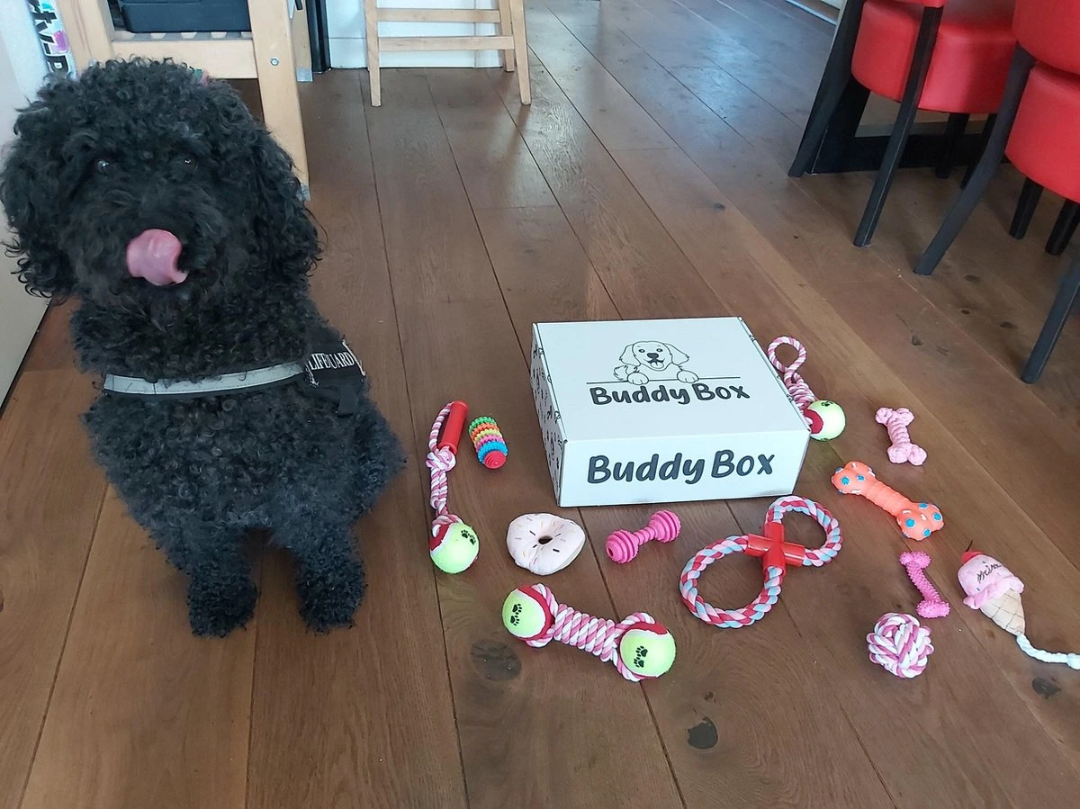 Honden Speelgoed - Puppy Speelgoed - 11 Stuks - Roze - 1 Speeltje Gratis - Honden Knuffel - Trektouw - Honden Speeltjes 4 Honden Speelgoed - Puppy Speelgoed - 11 Stuks - Roze - 1 Speeltje Gratis - Honden Knuffel - Trektouw - Honden Speeltjes - Afbeelding 4