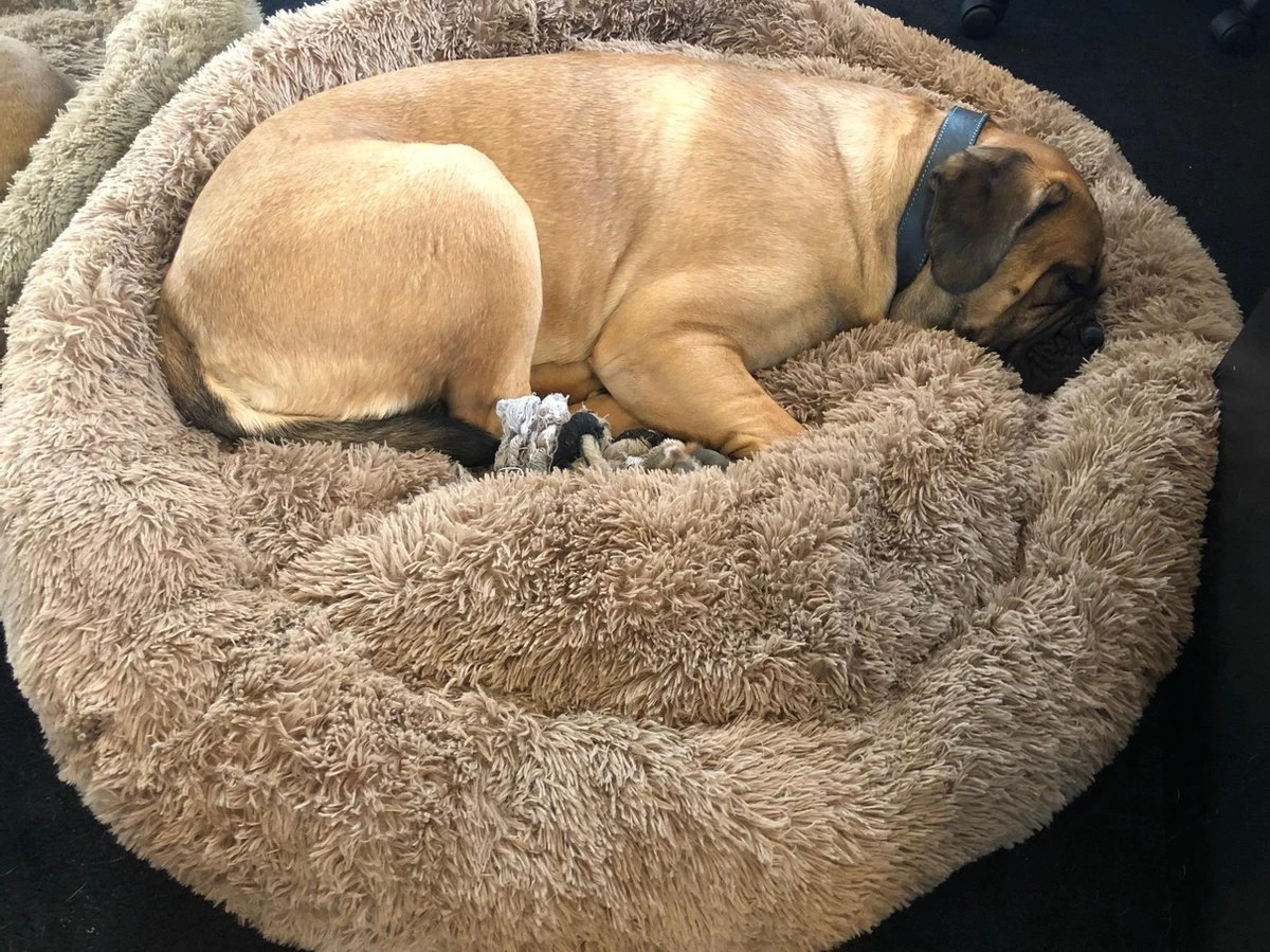 HONDEN RELAX Kussen - Superzacht Fluffy Ronde Mand 100 Cm - Taupe/Zandkleur 1 HONDEN RELAX Kussen - Superzacht Fluffy Ronde Mand 100 Cm - Taupe/Zandkleur