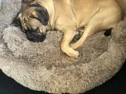 HONDEN RELAX Kussen - Superzacht Fluffy Ronde Mand 100 Cm - Taupe/Zandkleur 12 HONDEN RELAX Kussen - Superzacht Fluffy Ronde Mand 100 Cm - Taupe/Zandkleur -Hondenbenodigdheden Korting 1200x899 8