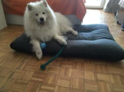 Hondenkussen XL - Donkergrijs - 60 X 90 X 12 -Hondenbenodigdheden Korting 1200x900 24