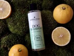 Fresh & Fluffy - Hondenshampoo Aloë Vera / Bergamot - Geschikt Voor Alle Hondenrassen - Natuurlijke & Vegan Voor De Gevoelige Huid - 250ml 6 Fresh & Fluffy - Hondenshampoo Aloë Vera / Bergamot - Geschikt Voor Alle Hondenrassen - Natuurlijke & Vegan Voor De Gevoelige Huid - 250ml -Hondenbenodigdheden Korting 1200x900 5