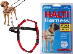 Company Of Animals Halti Harnass - Anti Trektuigje - Hond - Large - Borstomvang Boven De 80 Cm – Zwart -Hondenbenodigdheden Korting 1200x901 4